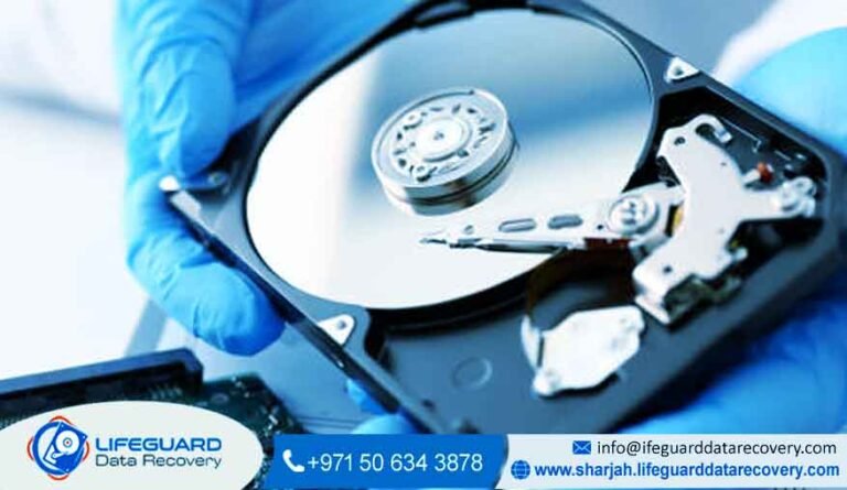 RAID 1 Data Recovery