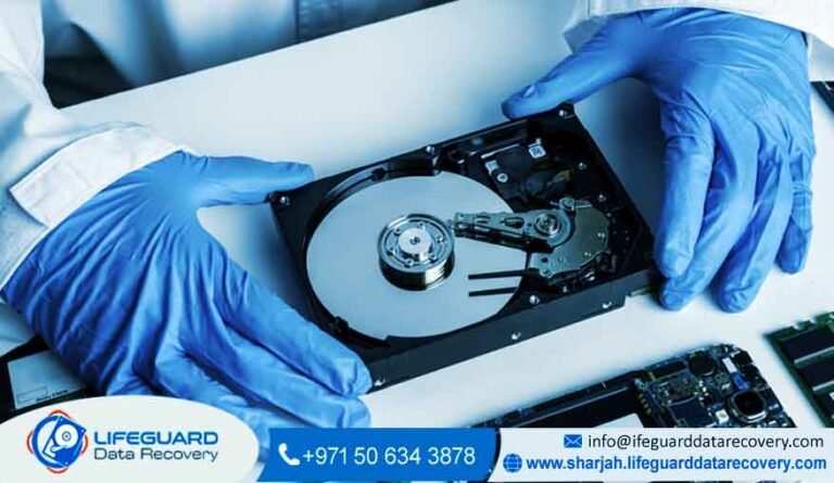 RAID Data Recovery Fujairah