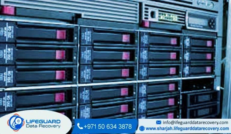 RAID Data Recovery Sharjah