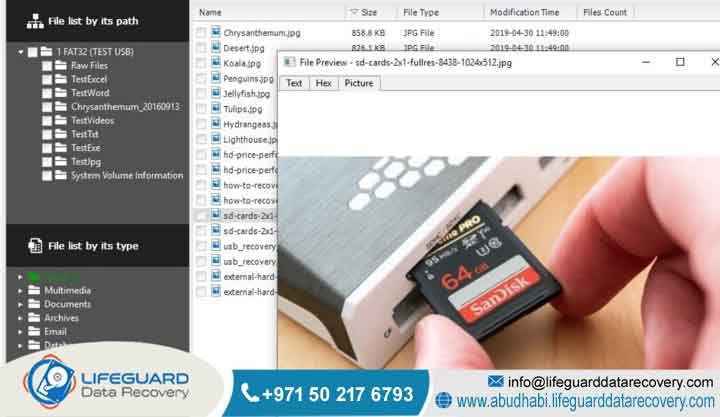 Can deleted SD card photos be recovered?