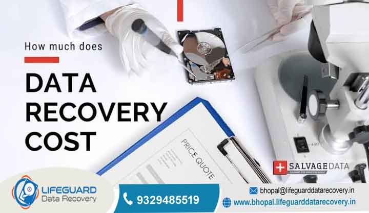 How much does professional data recovery cost?