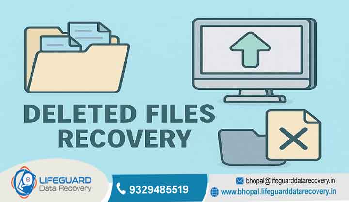 What files can be recovered?